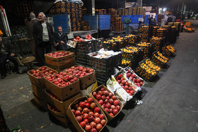 میوه‌های قاچاق در حال جمع‌آوری هستند